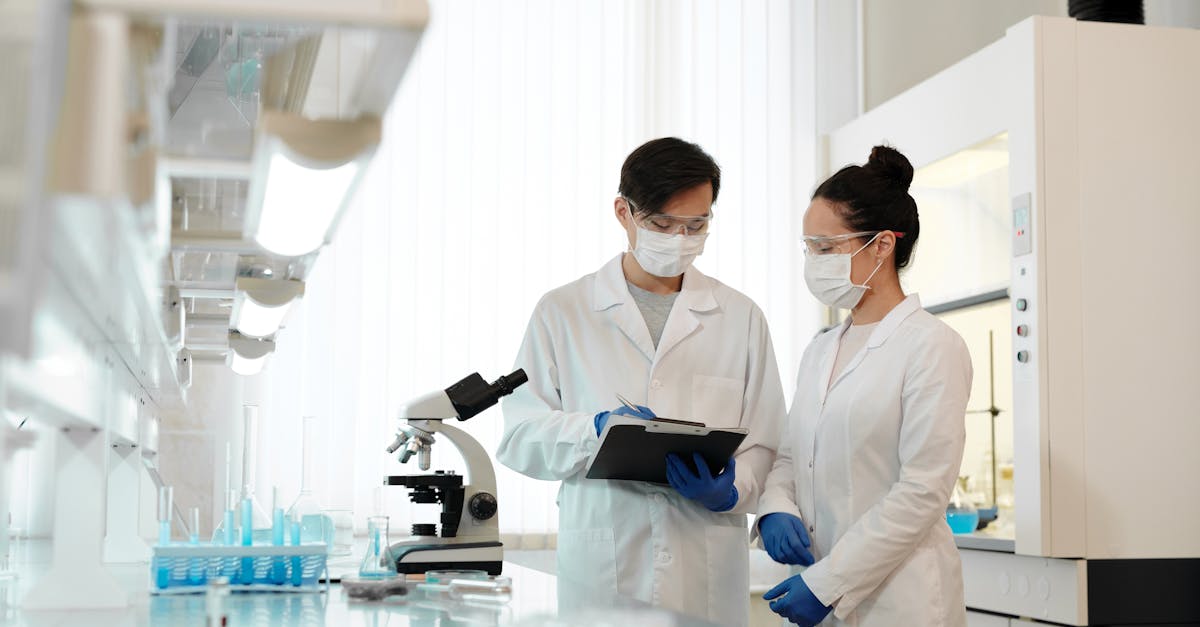 如何使用发射网络来提高SEO排名