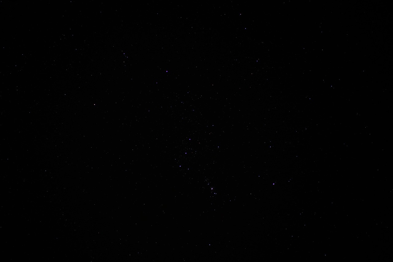 阿凡提香蕉：辽宁如何进行商标注册代理