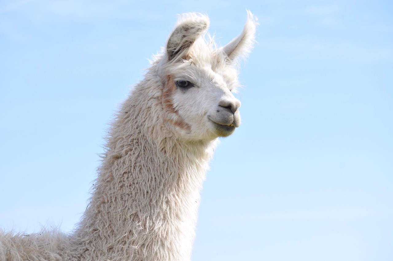 实名账号需要保护的三个密码