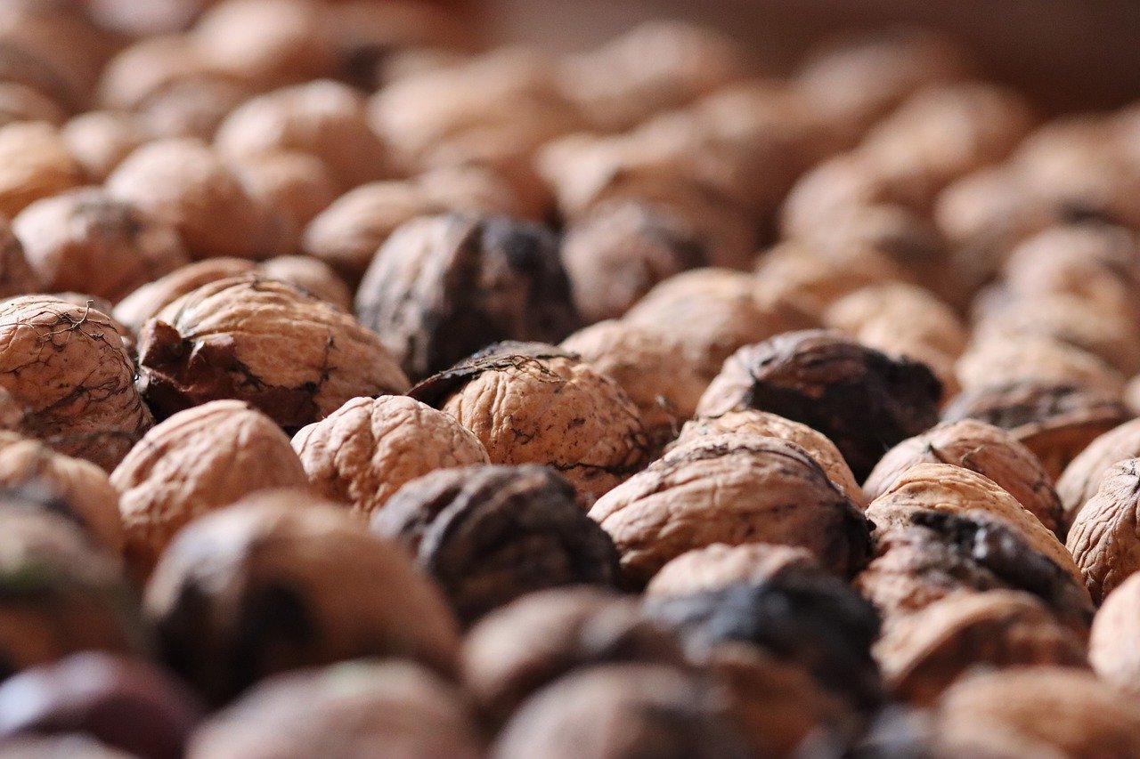 奥特曼:集结:夜场门票购买平台