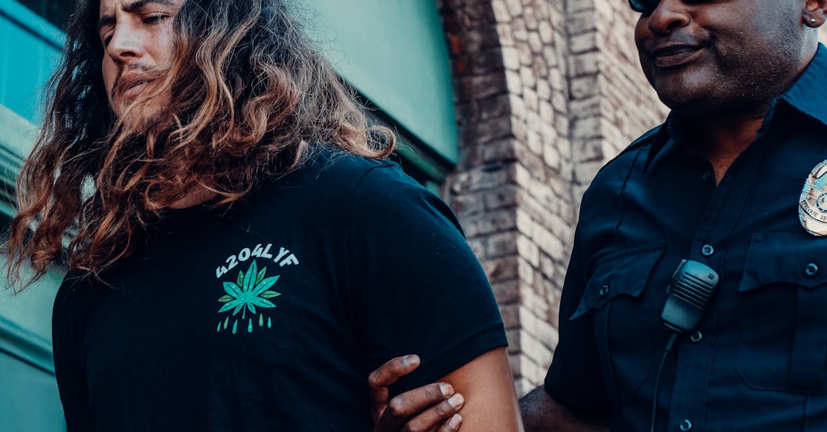 转盘软件详情下载教程app