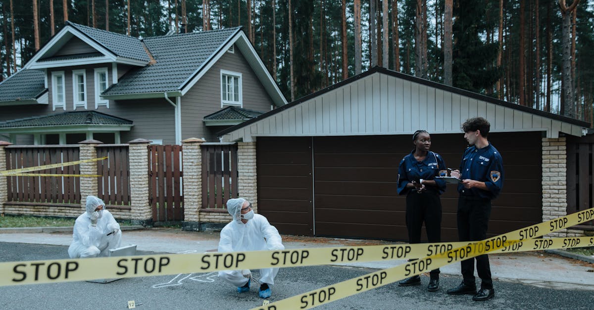 蓝狮在线卧虎藏龙贰免费账号注册