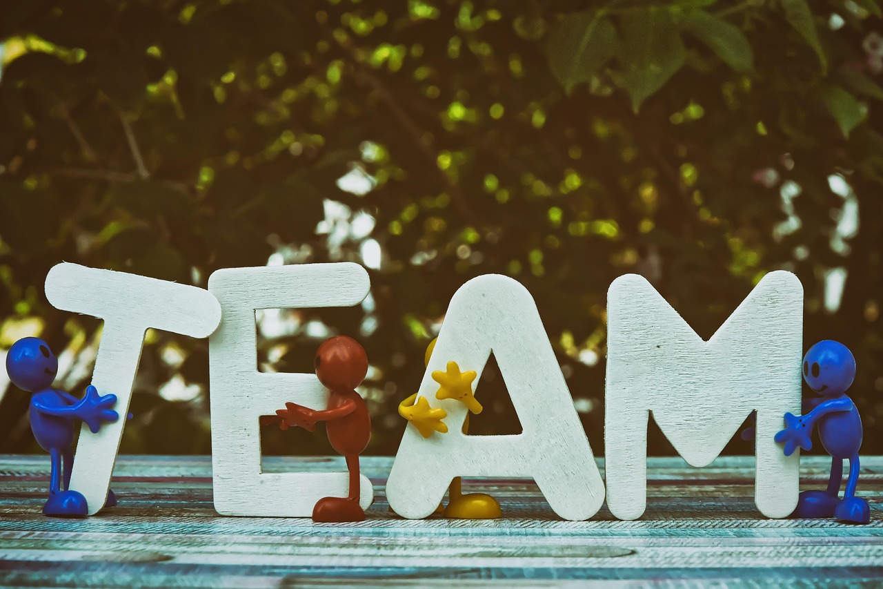 日税七星香蕉爆珠：代理工商注册机构哪家好