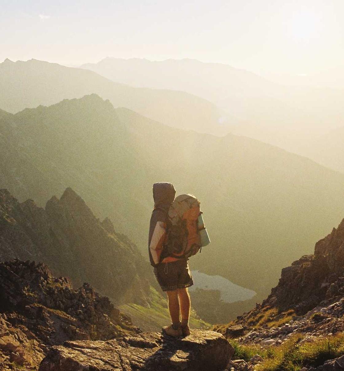 技术支持和相关维权业务