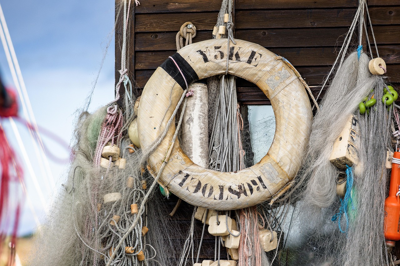 新宝5电子书详情下载教程app